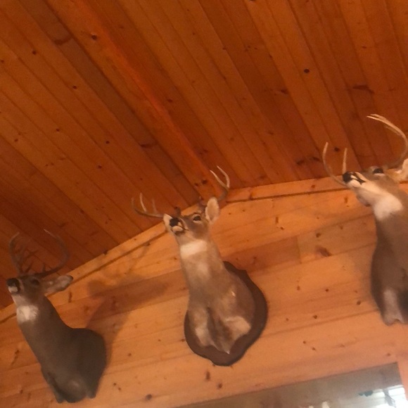 Profile Picture of Caelan Scarbrough (@cscarbrouhh) on Poshmark