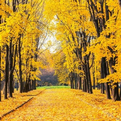 Profile Picture of Risky Dan (@RiskyDan27) on Twitter