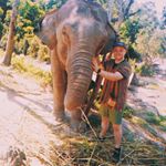 Profile Picture of ian honeyman (@ianhoneyman) on Instagram