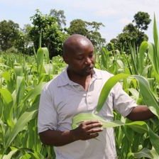 Profile Picture of Vitalis Kimutai (@vitskim) on Twitter