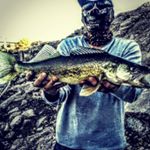 Profile Picture of Robert (@stay_bent505) on Instagram