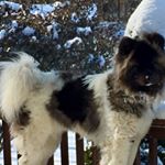 Profile Picture of Scott Becchetti (@sbecchetti) on Instagram