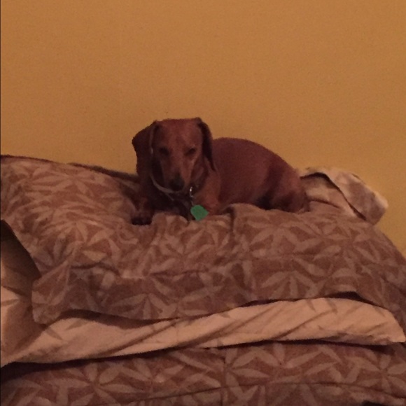 Profile Picture of Kelle Stary (@kellestary) on Poshmark