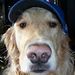 Profile Picture of Sam Nihem (@samnihem) on Pinterest