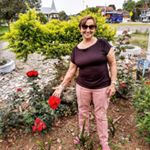 Profile Picture of ROSA SCHNEIDER (@rosaschnaider) on Instagram