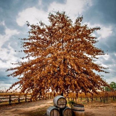 Profile Picture of Aaron E. Kidder (@AaronKidder12) on Twitter