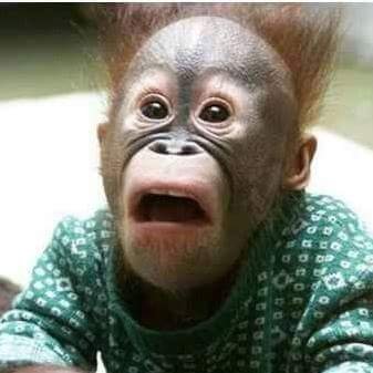 Profile Picture of Jstone9 (@JasonGuertin3) on Twitter