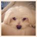 Profile Picture of Paula Voss (@paula.voss.54) on Facebook