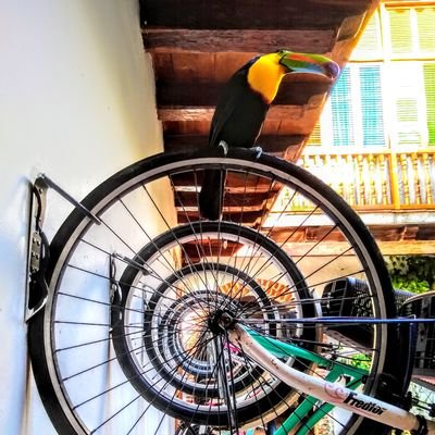 Profile Picture of ROB GILLES (@robgilles63) on Twitter