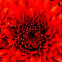 Noel Brewer - Quora Profile Picture of Noel Brewer (@noel-brewer-1) on Quora