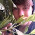 Profile Picture of Alexander Brenner (@AlesandrolaAlex) on Twitter