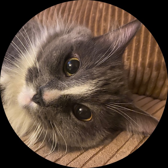 Profile Picture of Christina Giebel (@skittenalane) on Poshmark