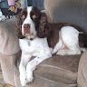 Profile Picture of richard dotter (@dotter0322) on Pinterest
