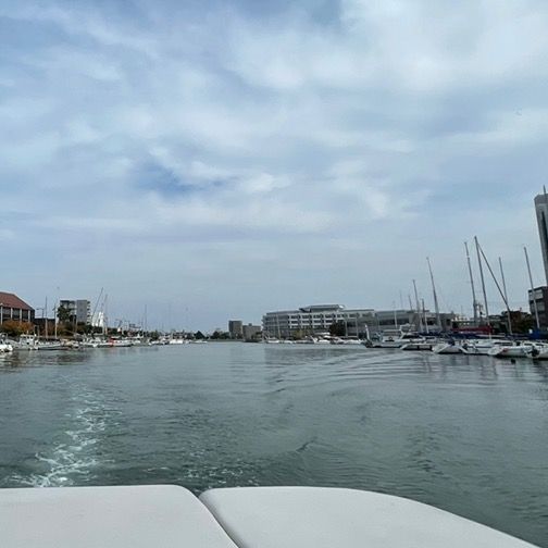 Profile Picture of Richard.sag (@bjtgtvdqtm) on Tiktok