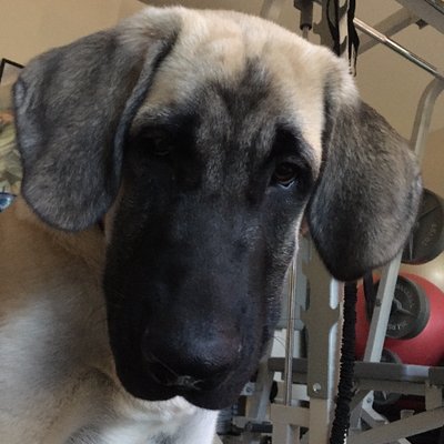 Profile Picture of Chad Cromwell (@ChadMCromwell) on Twitter