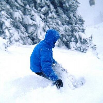 Profile Picture of Eugene Bertrand (@EugeneBertrand) on Twitter