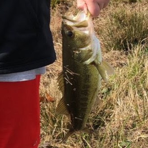Profile Picture of Jake Hansen (@jakearoohansen) on Poshmark