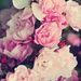 Profile Picture of Kelly Clodfelter (@kelanya) on Pinterest