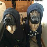 Profile Picture of Richardt (@pretoriusrichard6) on Instagram