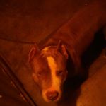 Profile Picture of Adam Rangel (@adam9158) on Instagram