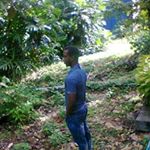 Profile Picture of Richard Psylentk Hylton (@richard.p.hylton) on Instagram
