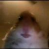 Profile Picture of Grant Webb (@@gewebb_89) on Tiktok