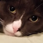 Profile Picture of Benjamin Powers (@@Bpowers8787) on Tiktok