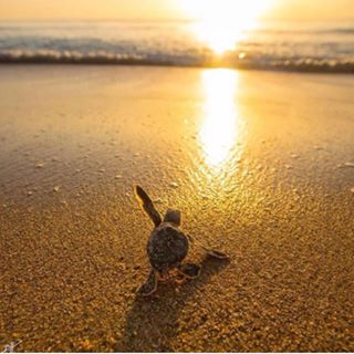 Profile Picture of Giulia Capobianco (@giulia.capobianco.98) on Facebook