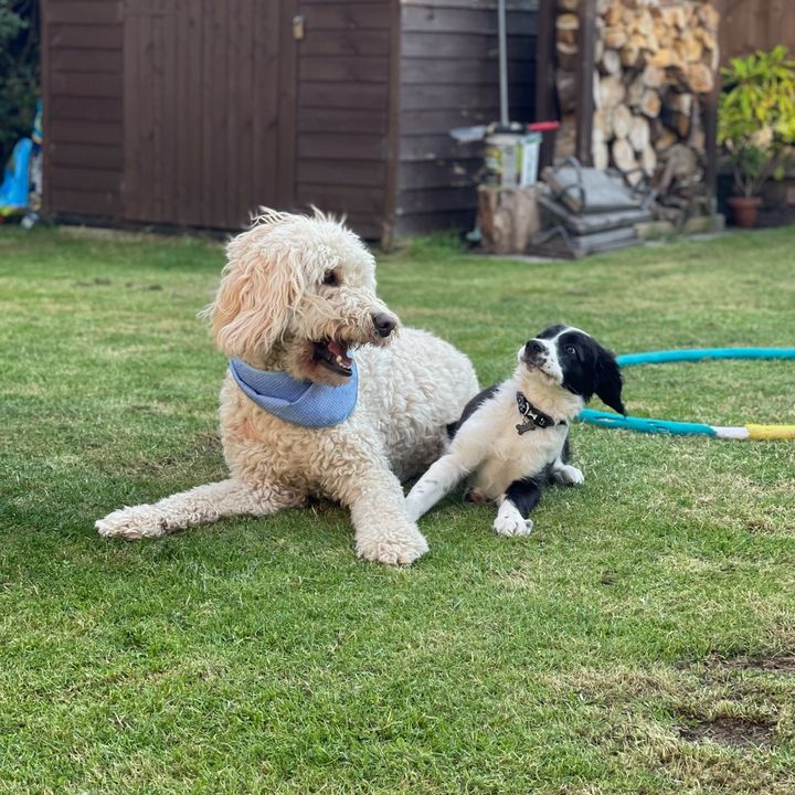 Profile Picture of Sam (@sam.sarson) on Tiktok