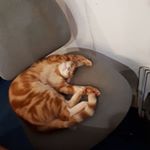 Profile Picture of Paul Rollison (@rollisonpaul) on Instagram