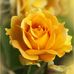 Profile Picture of Edna Benson (@edna.benson.50) on Facebook