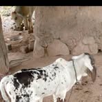 Profile Picture of Eddi Rivera (@Eddi-Rivera) on Facebook