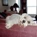 Profile Picture of Jimmy Heath (@jimmy.heath.7161) on Facebook