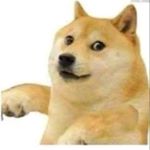 Profile Picture of Chris Pinedo (@dinosauriobv) on Instagram