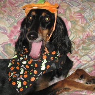 Neppie Andrews - Facebook Profile Picture of Neppie Andrews (@neppie.andrews) on Facebook