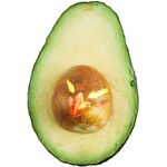 Carlos Avocado - Instagram Profile Picture of Carlos Avocado (@carlosavocado) on Instagram