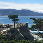 Profile Picture of Joseph Fonti (@josephfonti) on Flickr