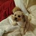 Profile Picture of Lisa Borchardt (@lisa.borchardt.77) on Facebook