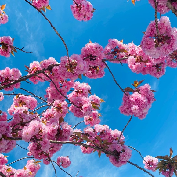 Profile Picture of Alex Currie (@alex_currie321) on Poshmark