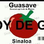 Profile Picture of shelby alvarez (@shelbysale) on Instagram