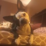 Profile Picture of Brian-Candy Kitchens (@cccarpkitch) on Instagram