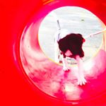 Profile Picture of Kento Palmieri (@kento_palmieri) on Instagram