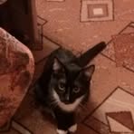 Profile Picture of Michelle Strozeski (@Michelle-Strozeski) on Facebook