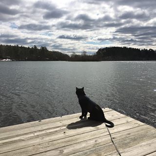 Profile Picture of Jacqueline Thomson (@jacquelinegthomson) on Facebook