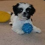 Profile Picture of Josh Therrien (@77therrien) on Instagram