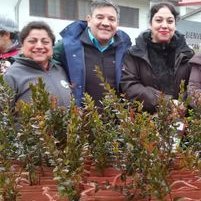 Profile Picture of Oscar Droguett (@DRConafLosRios) on Twitter