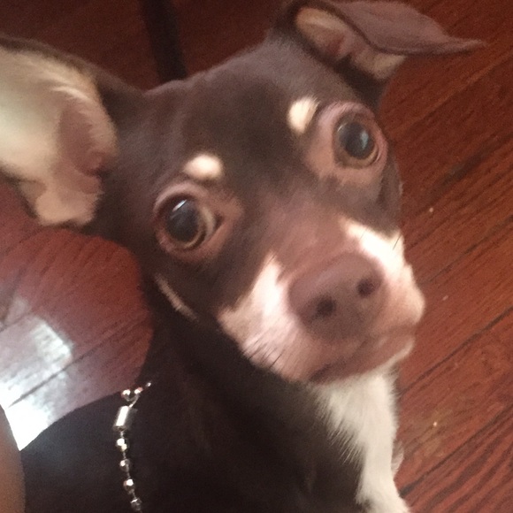 Profile Picture of Shawnia Nelson (@lashawnte_s) on Poshmark