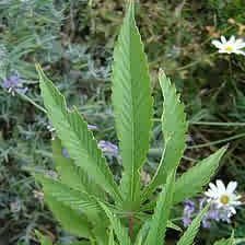 Profile Picture of Erbody (@glerbody) on Myspace