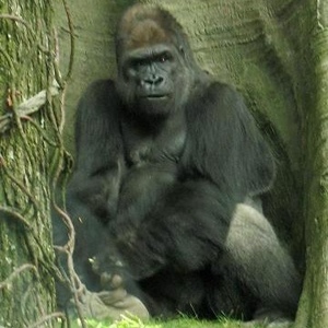 Profile Picture of Jaime Crosby (@jaimelc79) on Myspace