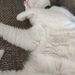 Profile Picture of Andrew Toliver (@andrew_toliver) on Pinterest